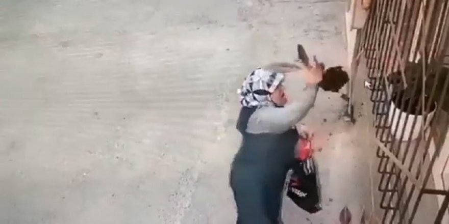Camdaki çiçeği saksıdan söküp çalan kadın kameralara yakalandı
