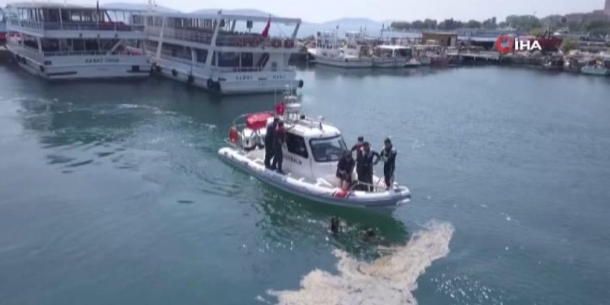 Devletten balıkçılara deniz salyası desteği