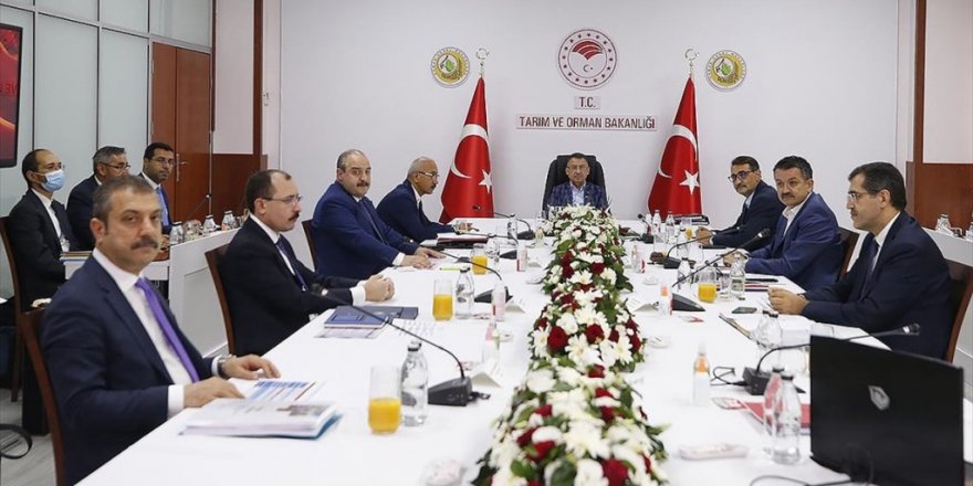 Cumhurbaşkanı Yardımcısı Oktay, Ekonomi Koordinasyon Kurulu Toplantısı'na Başkanlık Etti