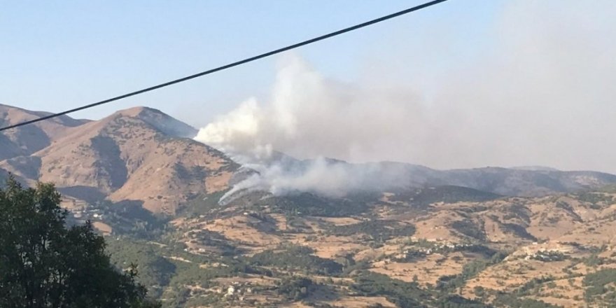 Bingöl’de 2 farklı noktada orman yangını