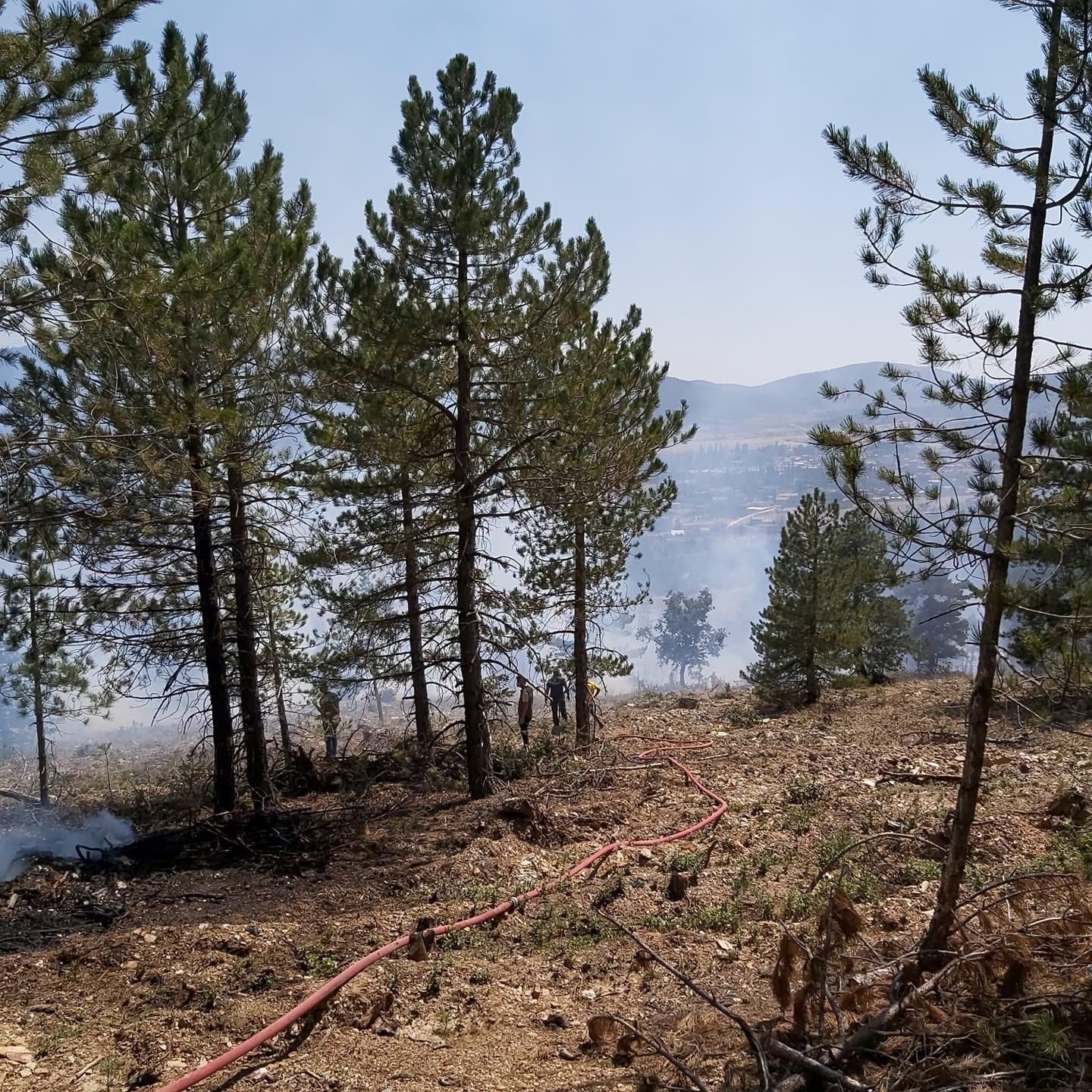 Konya’da Çıkan Orman Yangını Kontrol Altına Alındı