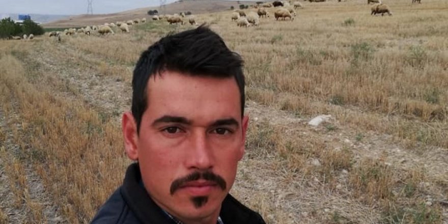 Çitliğin Yeni Sahibi Tarafından Öldürüldü