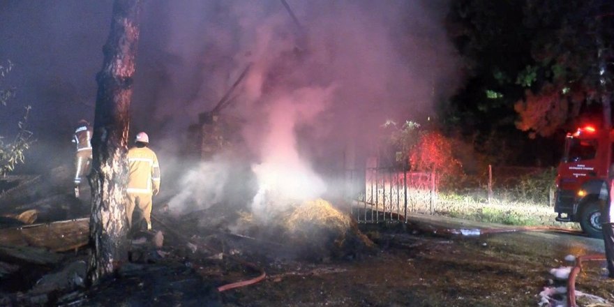 Bursa' da Aynı Anda 6 Farklı Noktada Yangın