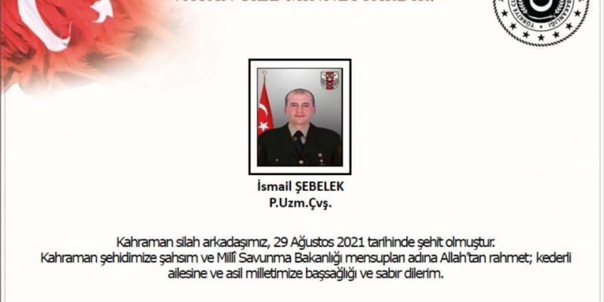 Pençe Kaplan Operasyonu'nda Yaralanan Asker Şehit Oldu