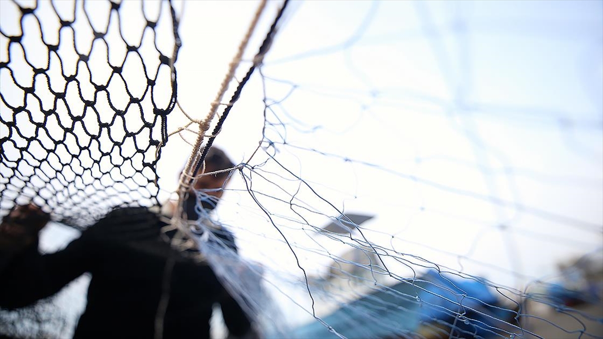 Balıkçılıkta Av Sezonu Başlıyor