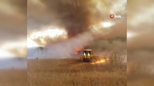 ABD’deki Orman Yangınında Alev Hortumu Oluştu