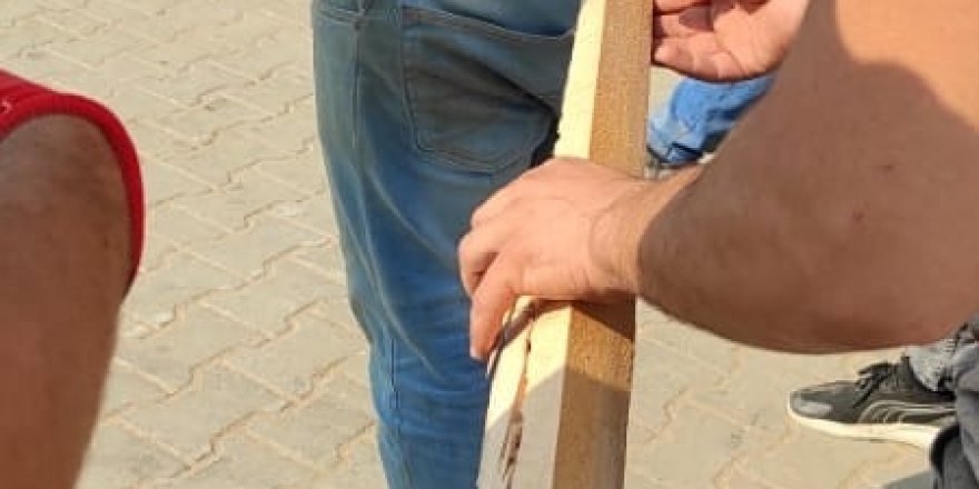 Atölyede fırlayan ağaç parçası işçinin karnından girip sırtından çıktı