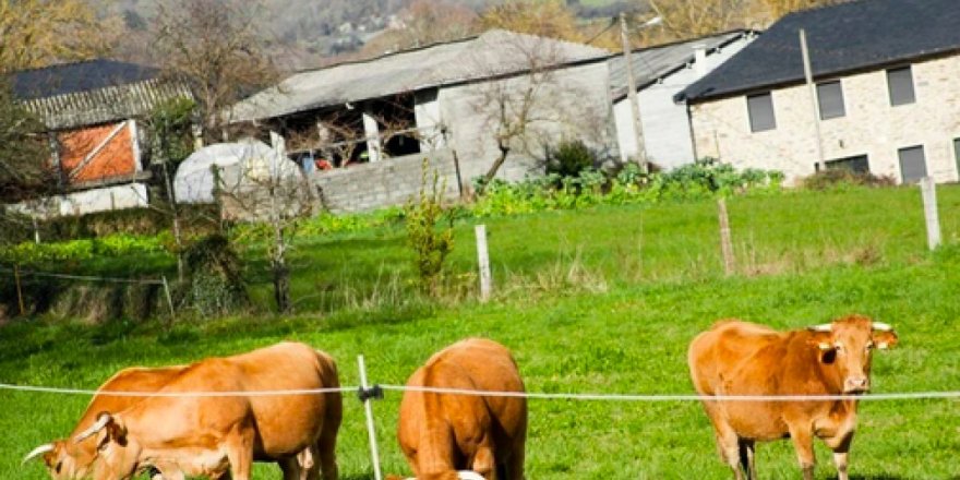 Köylere taşınanlara 44 bin euro teşvik verilecek