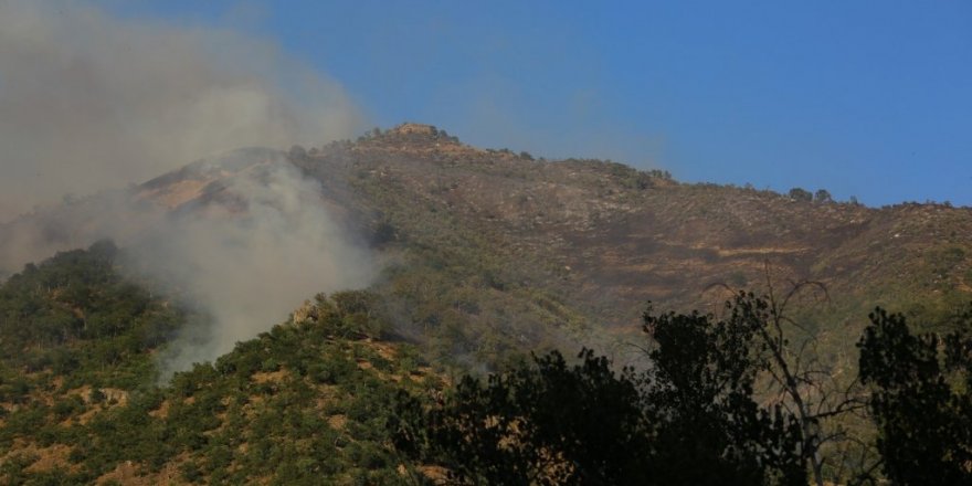 Munzur Vadisindeki yangına havadan ve karadan müdahale sürüyor