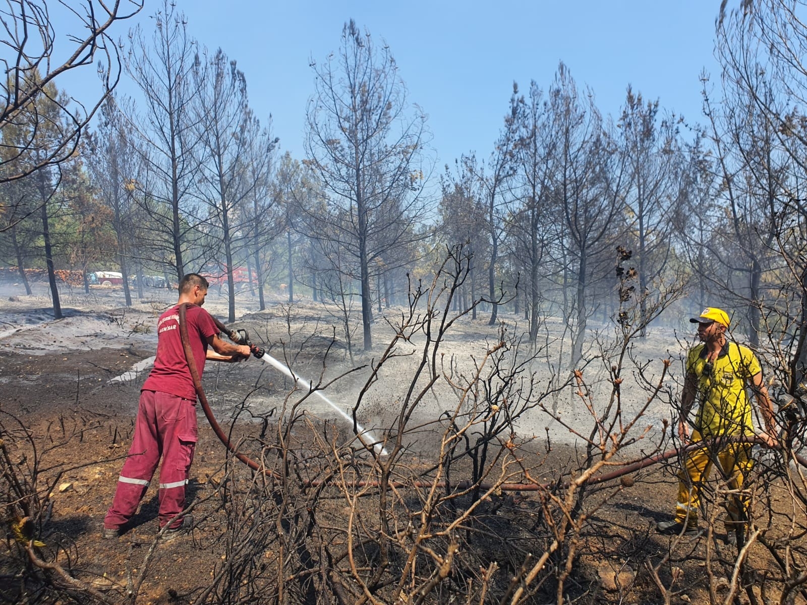 Akhisar’daki Orman Yangını Kontrol Altına Alındı