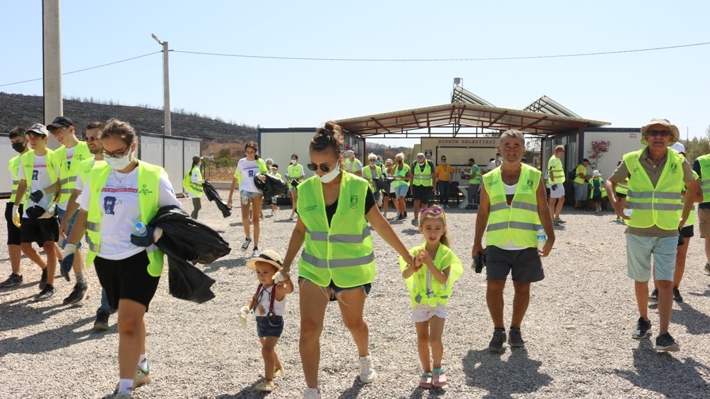 Yanan Ormanlar Temizleniyor