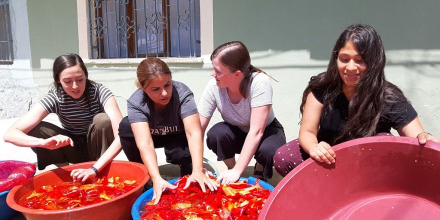 ABD’li kızlar Adana’da köy hayatı yaşadı