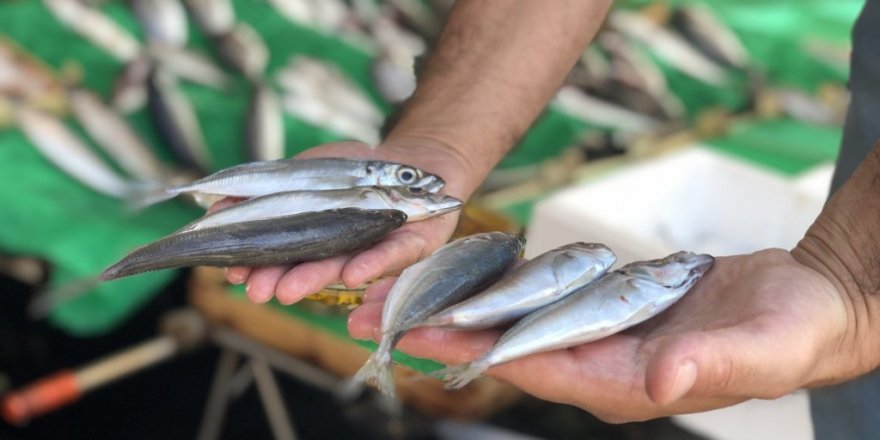 Kumkapı’daki balık tezgahları boş kaldı