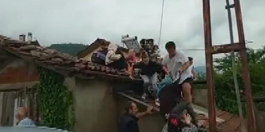 Selden Böyle Kurtuldular