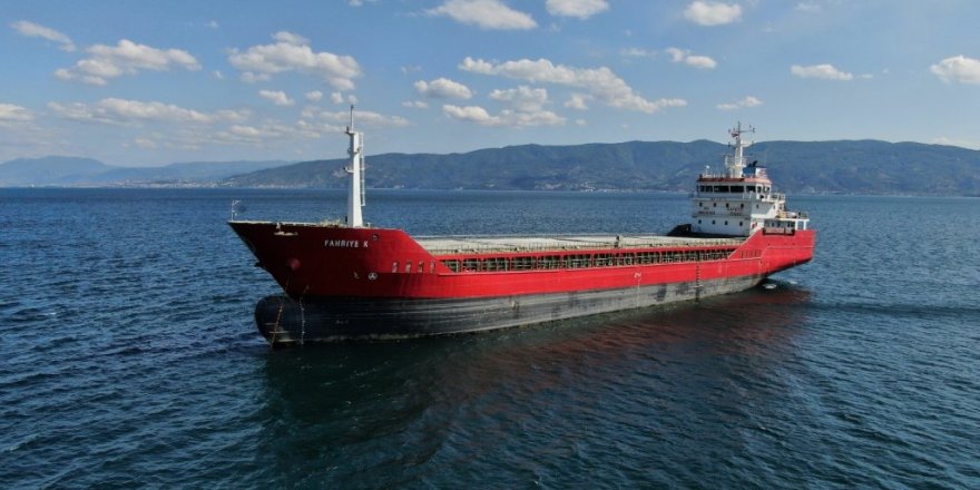 Pozitif vakaların çıktığı kargo gemisinde mürettebat karantinaya alındı