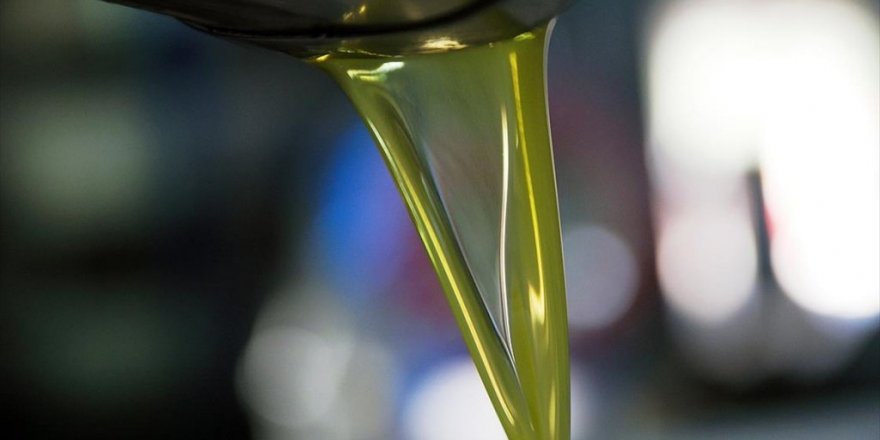 Türkiye'nin Zeytinyağı İhracatı 100 Milyon Dolara Yaklaştı