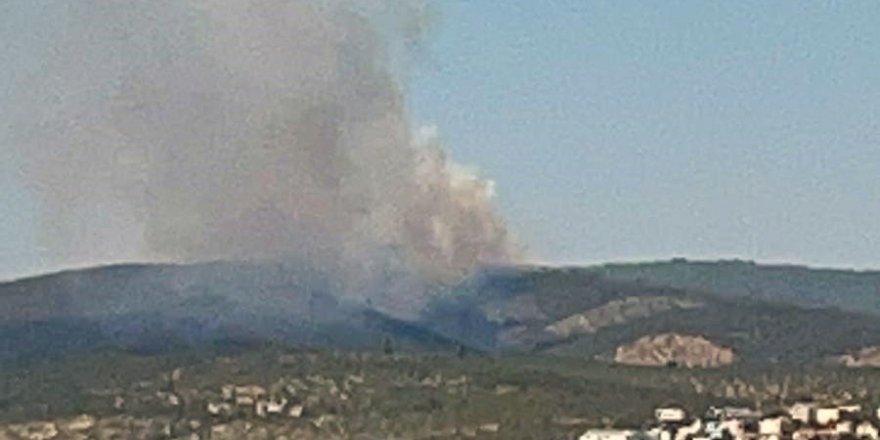 Kıyıkışlacık’ta ormanlık alanda yangın başladı