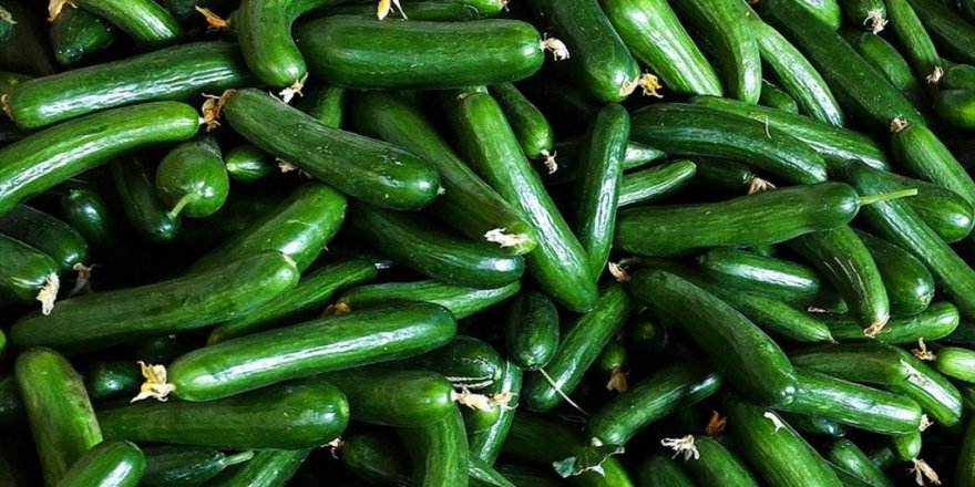 Ağustosta Fiyatı En Fazla Artan 'Salatalık' oldu