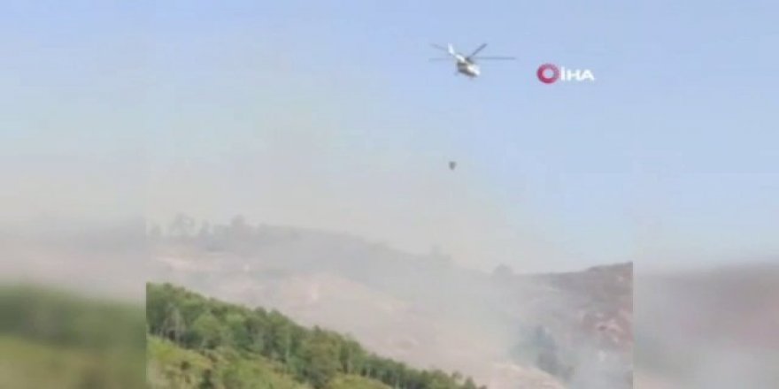 Azerbaycan’ın Gebele kentinde çıkan orman yangını kontrol altında