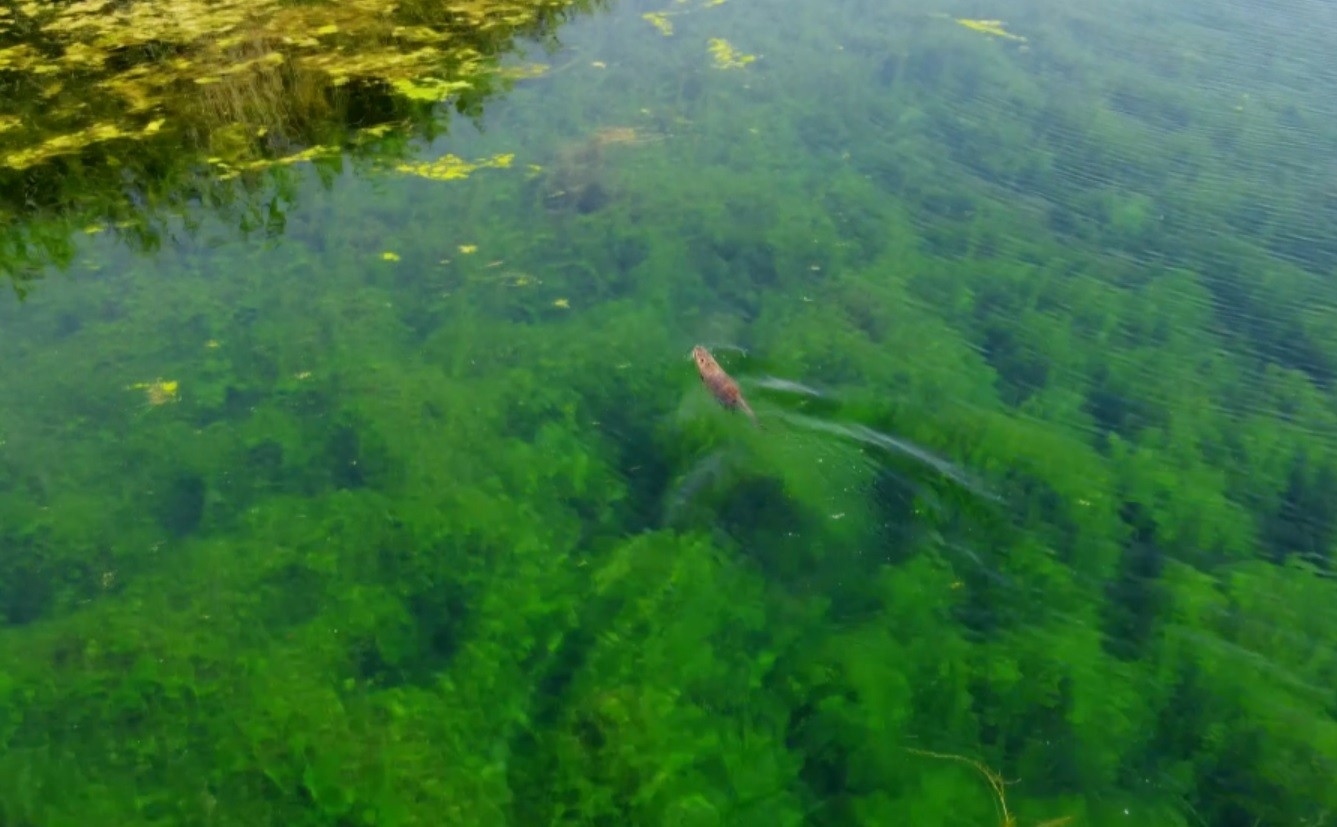 Ağrı Dağı Milli Parkı, Güzelliğiyle Dikkat Çekiyor