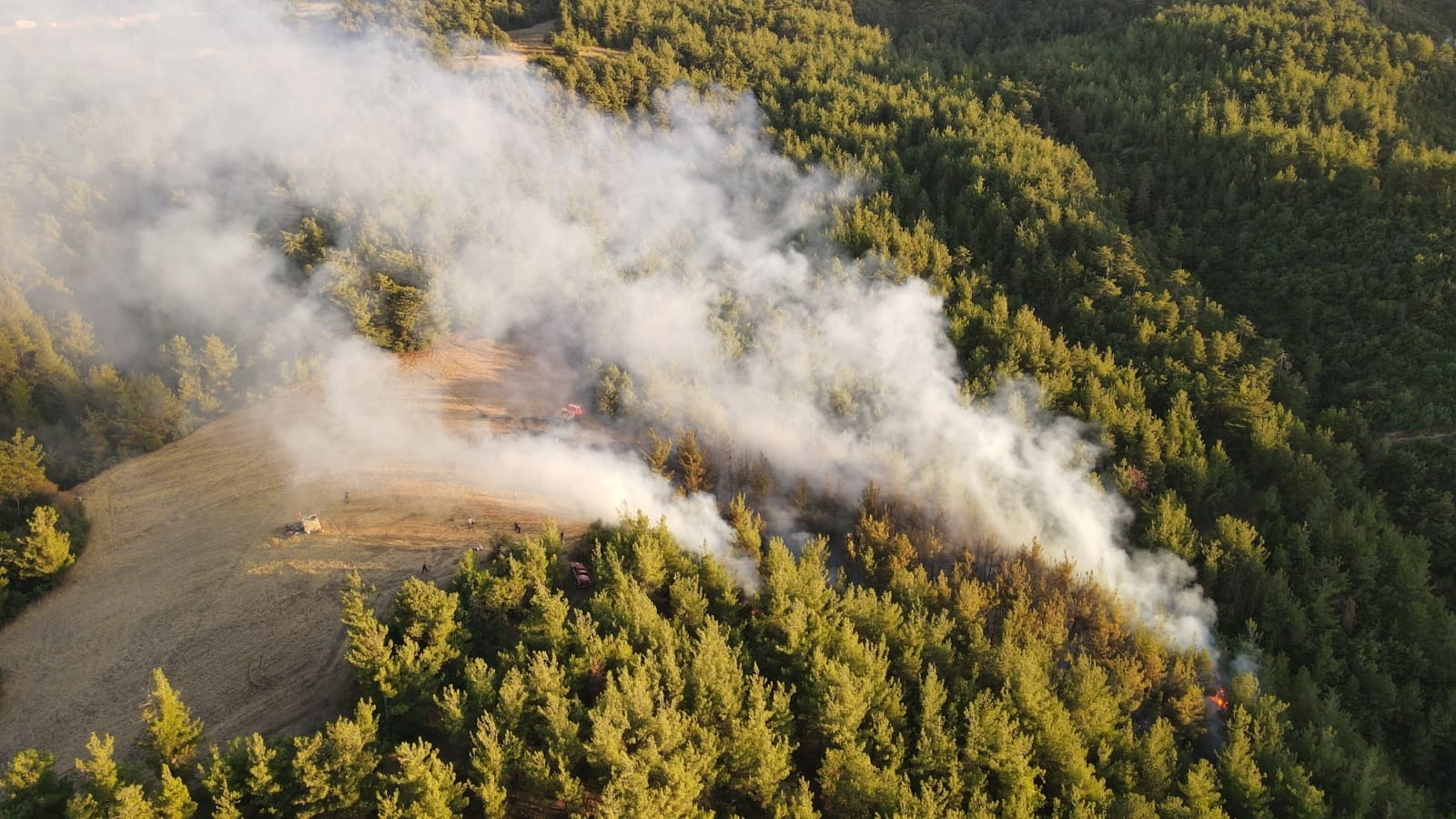 Balıkesir’de orman yangını