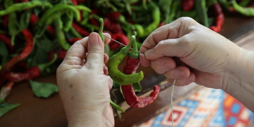 Tava Ciğerin Lezzet Yoldaşı Karaağaç Acı Biberi İpe Diziliyor