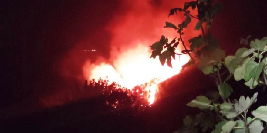 Orman Genel Müdürlüğü: “Bugün çıkan 8 orman yangınını kontrol altına aldık”