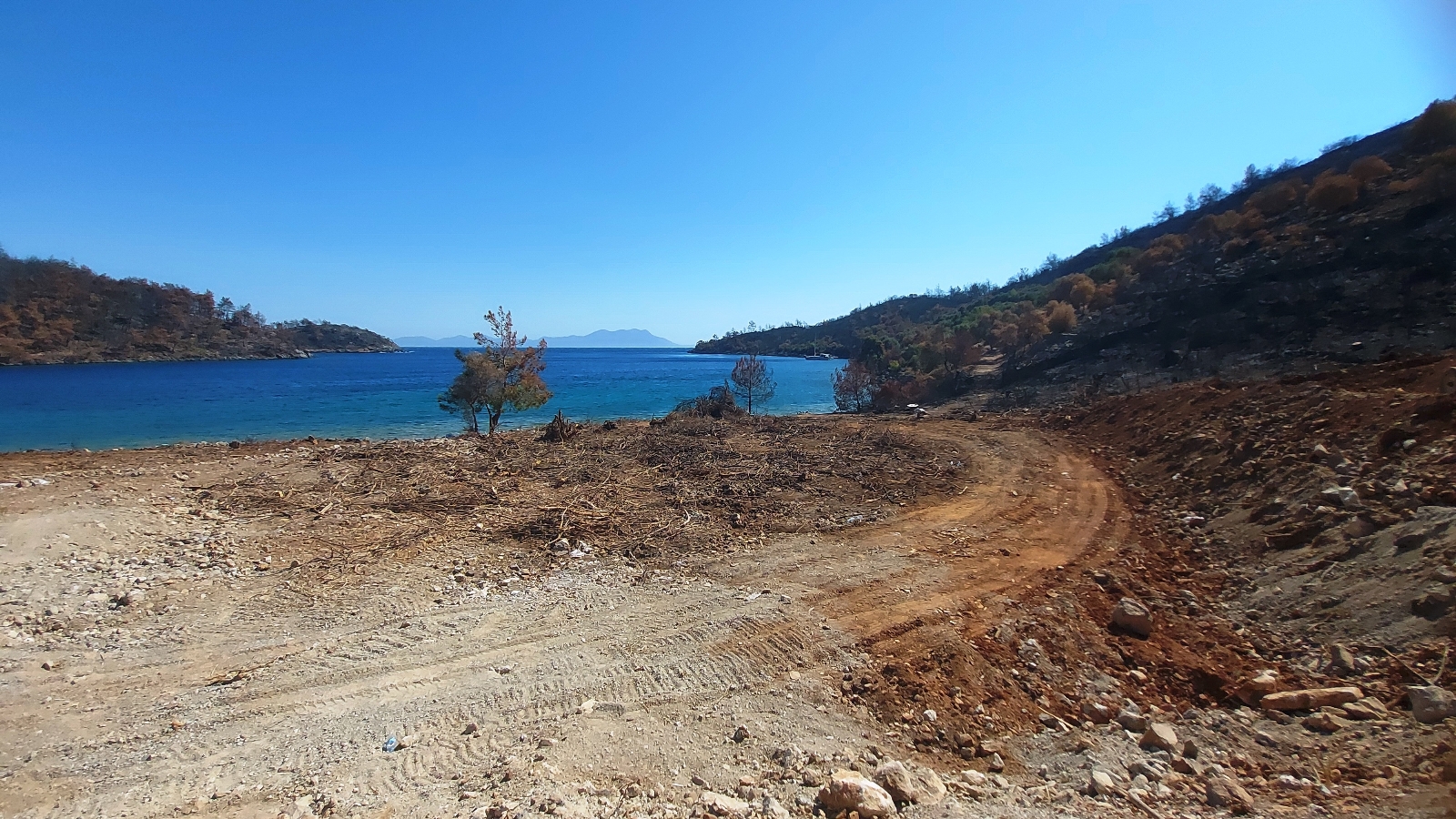 İnşaat yapılıyor denilen yanan koyda, lavanta bahçesi yapıldığı ortaya çıktı