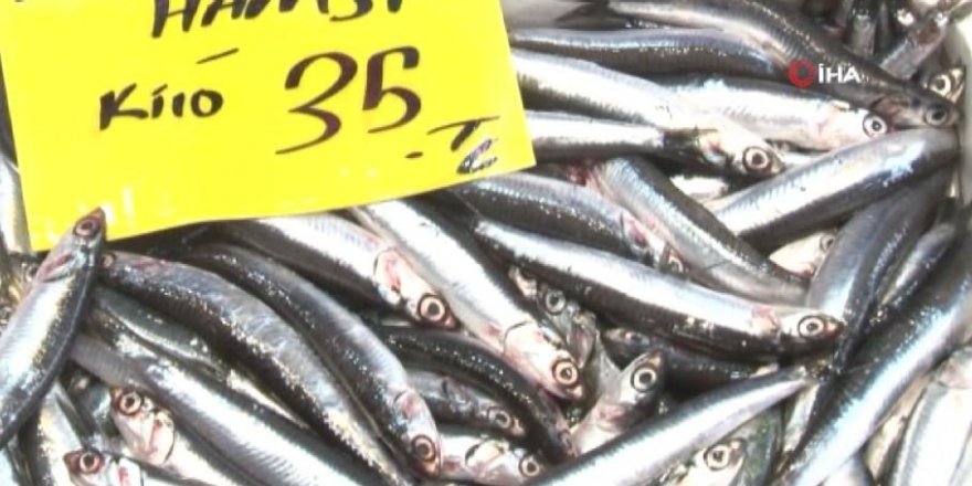 Sezon açıldı balık tezgahları şenlendi