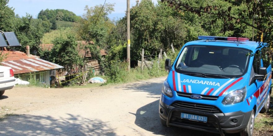 Düzce’ye fındık toplamaya gelen ailede kavga: 2 ölü, 2’si ağır 4 yaralı