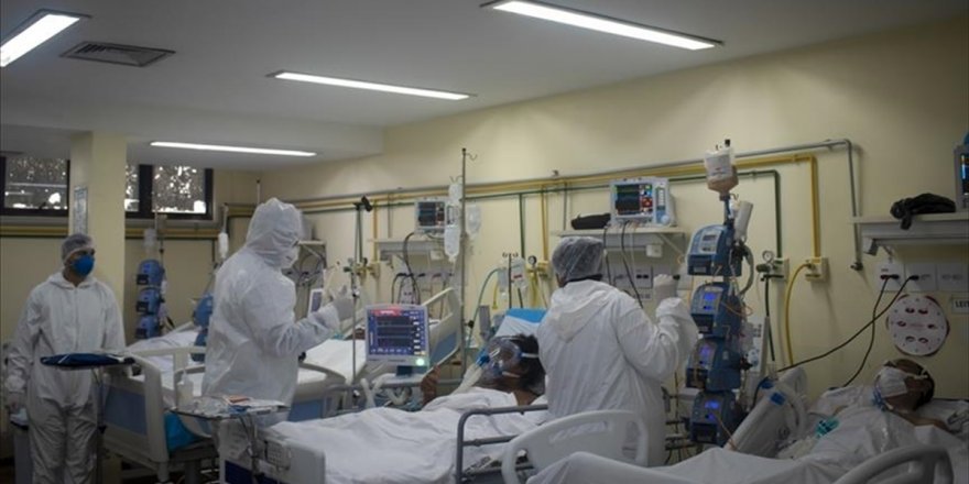 İngiltere’de ilk kez bir köpeğin korona virüs testi pozitif çıktı