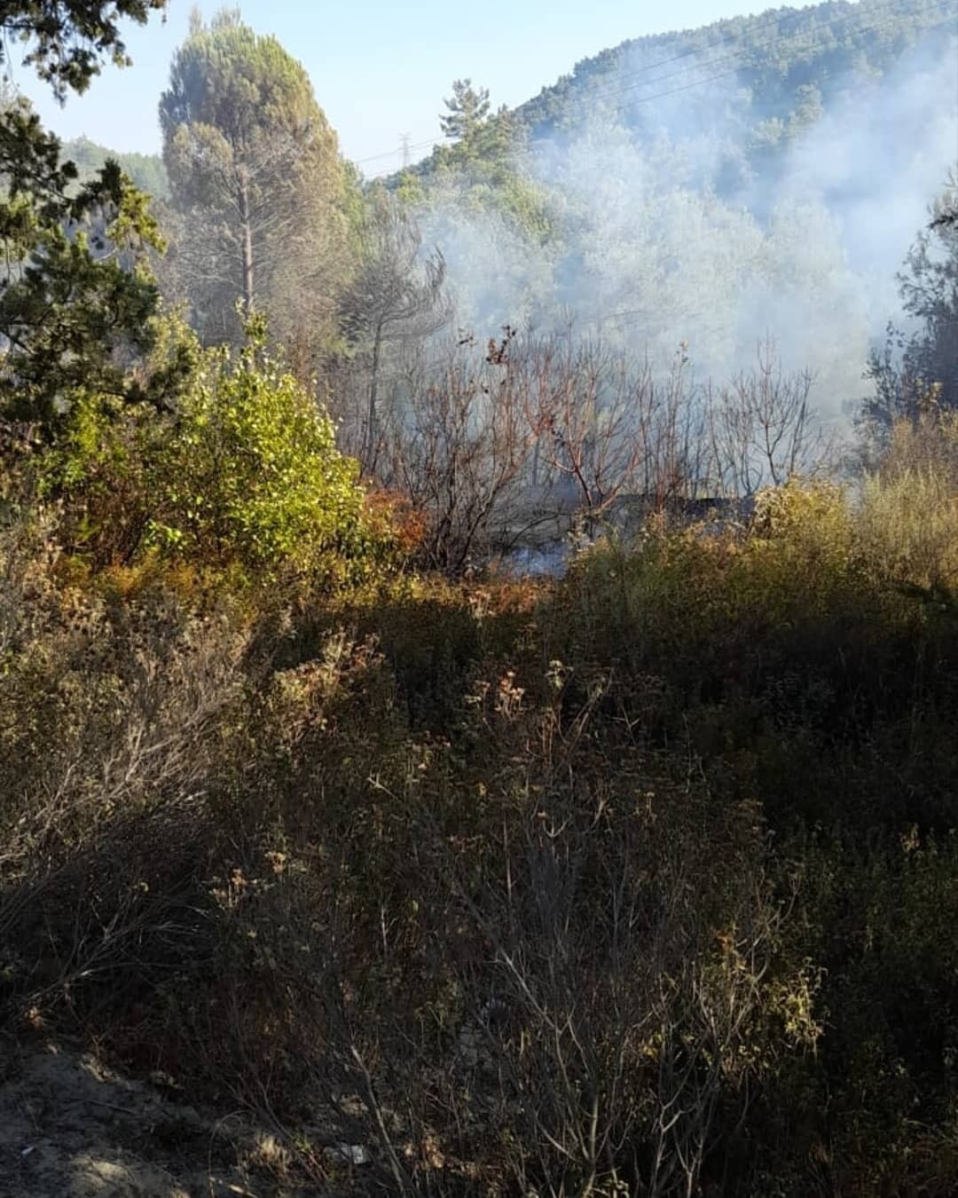 Hatay’da ikinci orman yangını