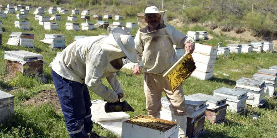 "Arıcıların Derdine Derman Olun" Çağrısı