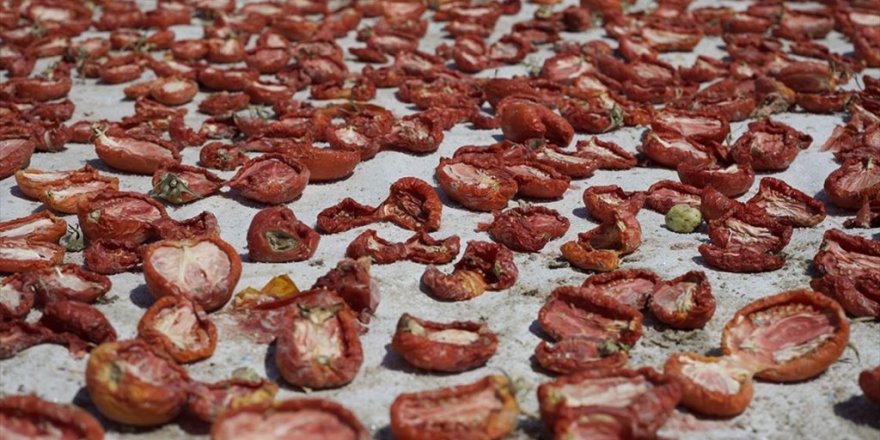 İtalyan Spagettisinin Sosu Kurutulmuş Türk Domatesinden