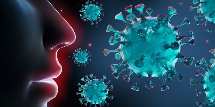 Covid-19’u 8 kişiye bulaştıran Vietnamlıya 5 yıl hapis cezası