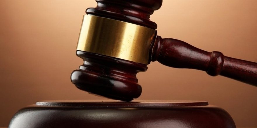 Başkentte 11 köpeğin cansız bulunmasına ilişkin yürütülen soruşturma tamamlandı