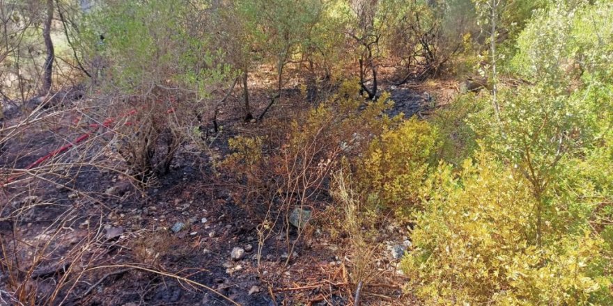 Beymelek’te çıkan orman yangın söndürüldü