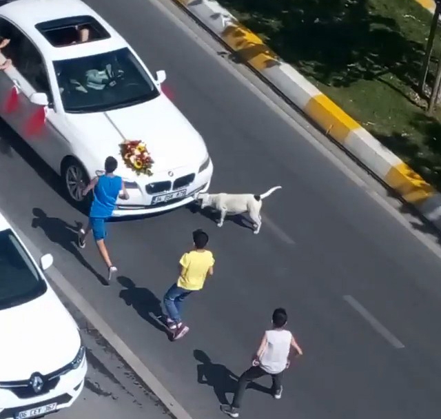 Çocukların Tehlikeli Bahşiş Oyunu Kamerada