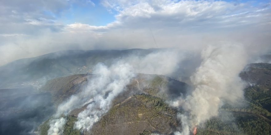 İspanya’da bin 500 hektar ormanlık alan küle dündü