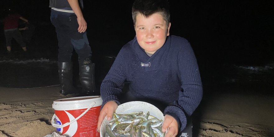 Bartın’da balıklar sahile vurdu