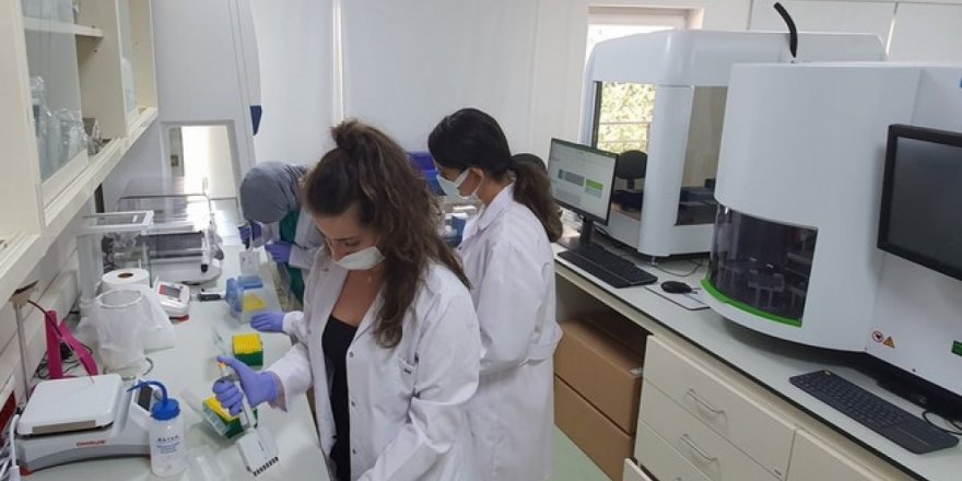 Araştırma 10 yıl sürdü: Türklerin genetik yapısı analiz edildi.