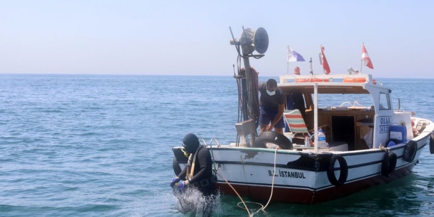 İstanbul İl Tarım ve Orman Müdürlüğü, midye avcılığını böyle denetliyor