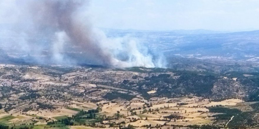 Manisa’da ormanlık alanda yangın