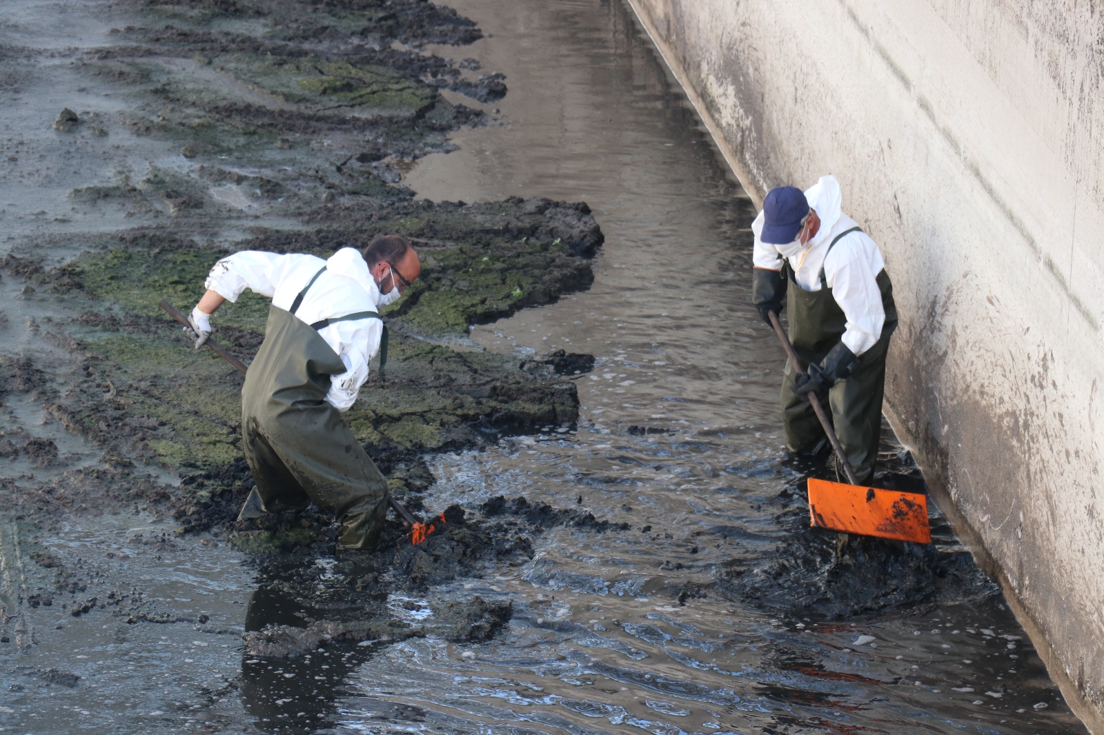 TBMM Müsilaj Araştırma Komisyonu Yalova’da