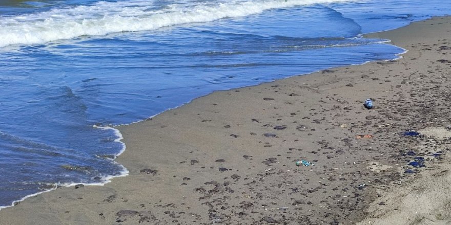 Samandağ’da petrol atıklarının temizliği 7 gündür sürüyor