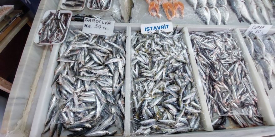 Poyraz, balık fiyatlarını allak bulak etti