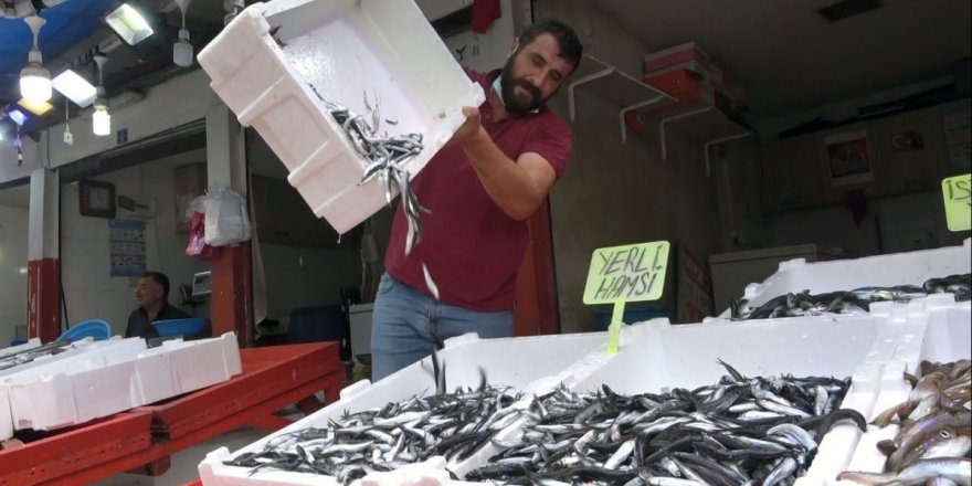 Giresun'da erken gelen hamsiler erkenden mi bitecek?