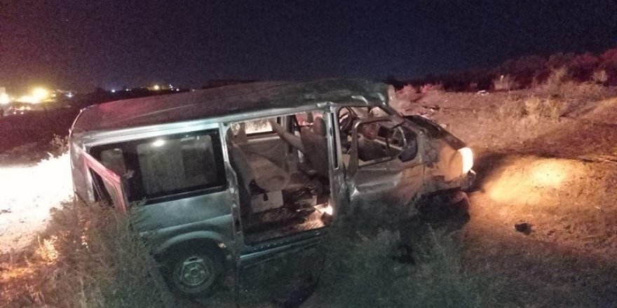 Yola çıkan at zincirleme kazaya neden oldu: 2’si ağır 6 yaralı