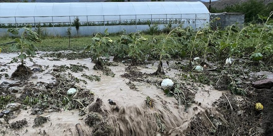 İklim Değişikliği Tarım Sigortalarını Kaçınılmaz Kılıyor