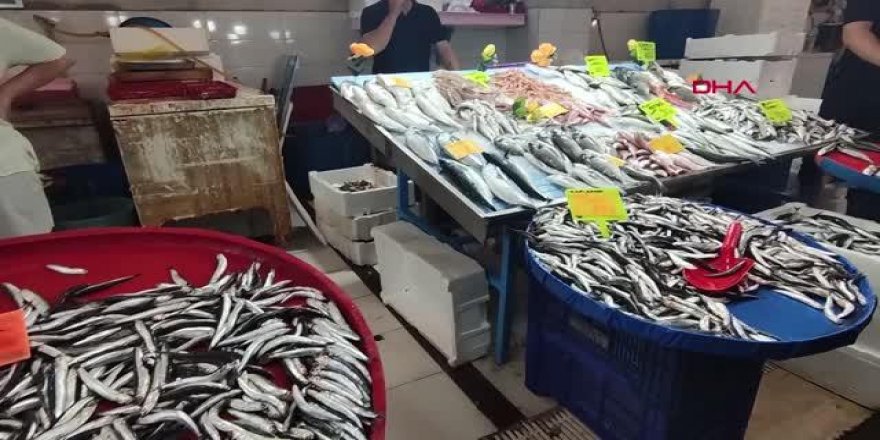 Aydın Kuşadası'nda, balık tezgahlarında hijyen en üst düzeyde